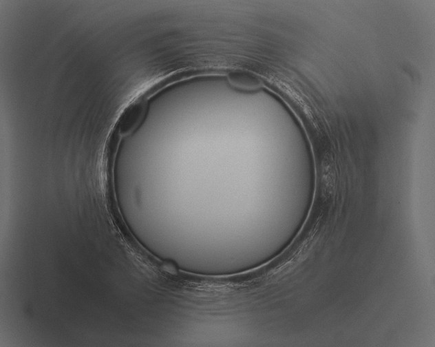 X0000116370981200912291707