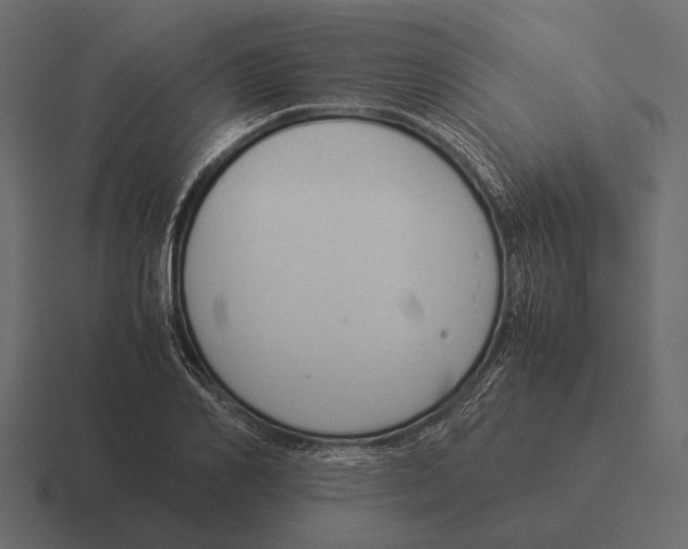 X0000116370982200912291707