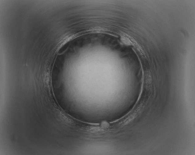 X0000116370985200912291707