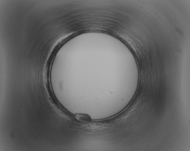 X0000116370987200912291707