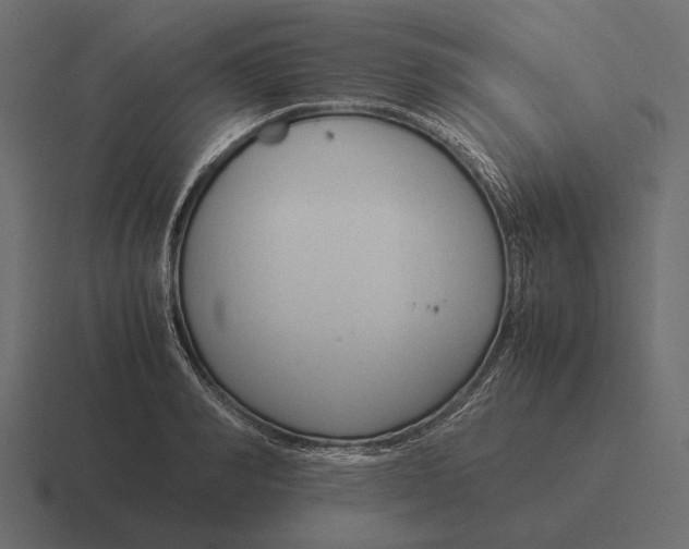 X0000116370990200912291707