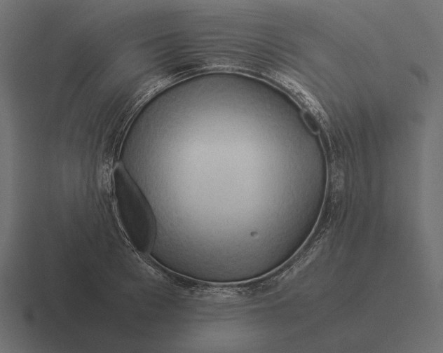 X0000116370993200912291707