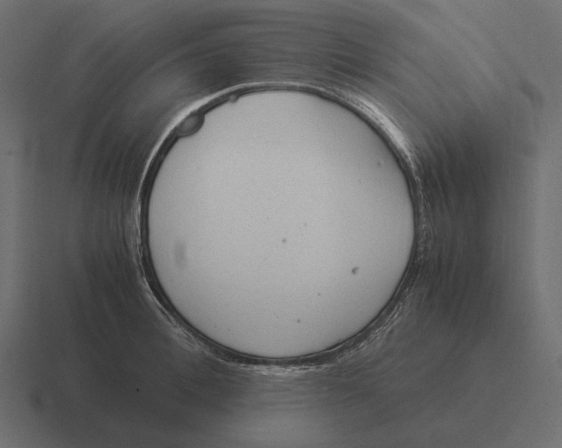 X0000116370996200912291707