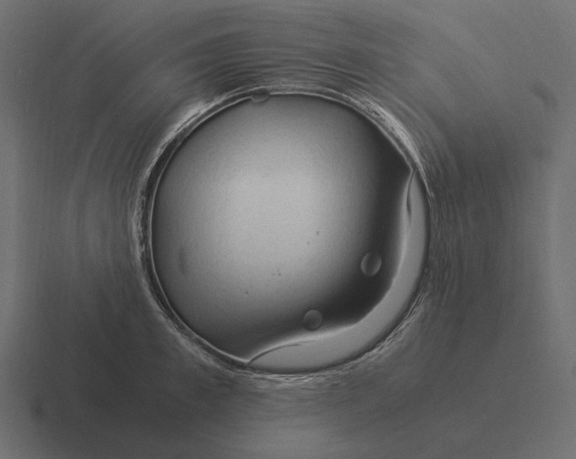 X0000116370997200912291707