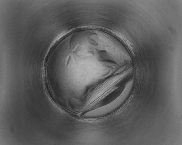 X0000116370998200912291707