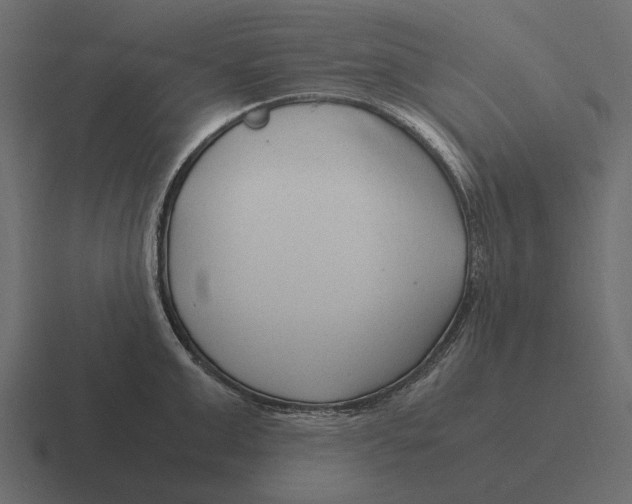 X0000116370999200912291707