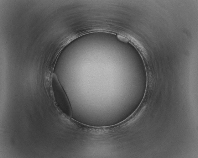 X0000116371001200912291707