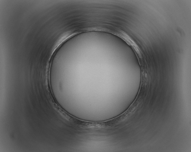 X0000116371002200912291707