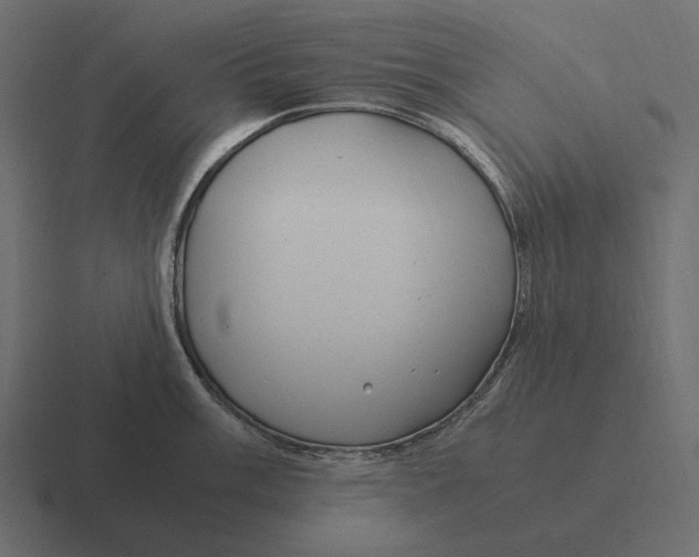 X0000116371003200912291707