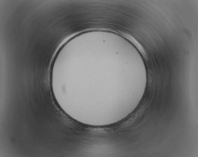 X0000116371004200912291707