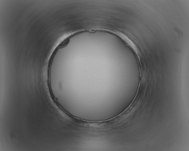 X0000116371005200912291707