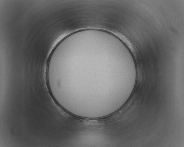 X0000116371006200912291707