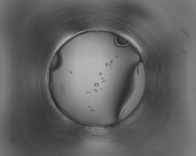 X0000116371007200912291707