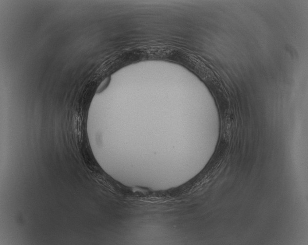 X0000116371010200912291706