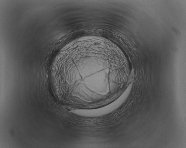 X0000116371013200912291706