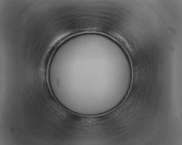 X0000116371019200912291706