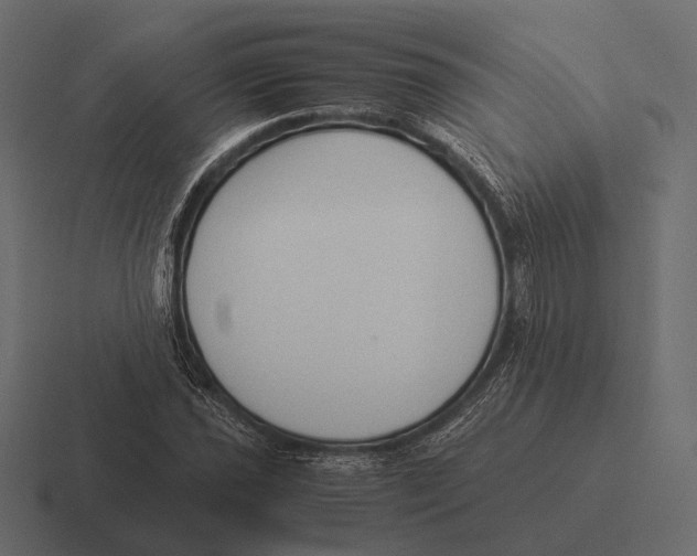 X0000116371021200912291706