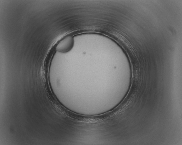 X0000116371022200912291706