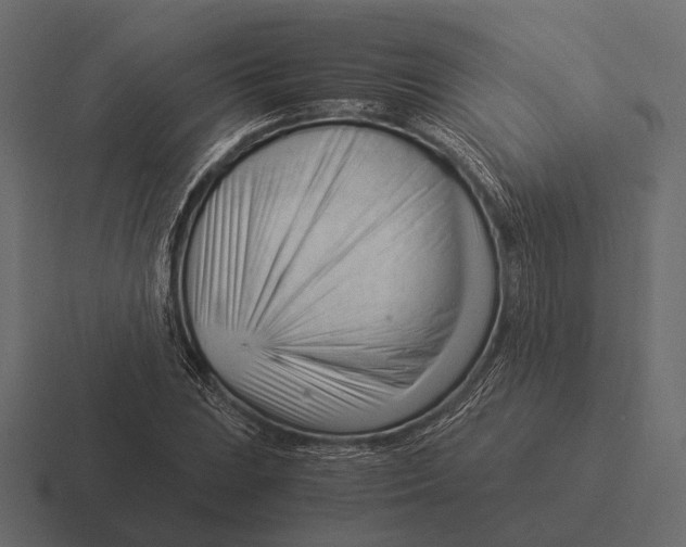 X0000116371023200912291706