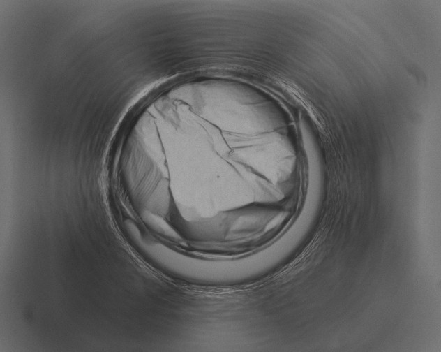 X0000116371024200912291706