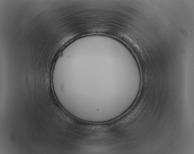 X0000116371025200912291706