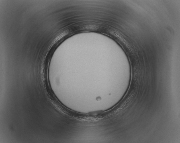 X0000116371026200912291706