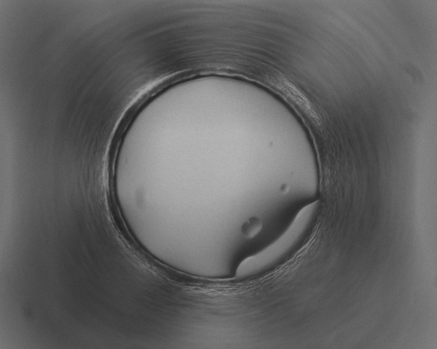 X0000116371028200912291706