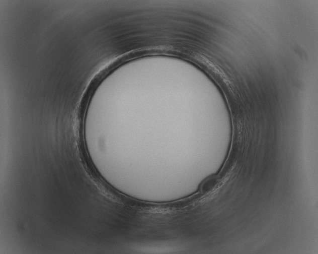 X0000116371029200912291706