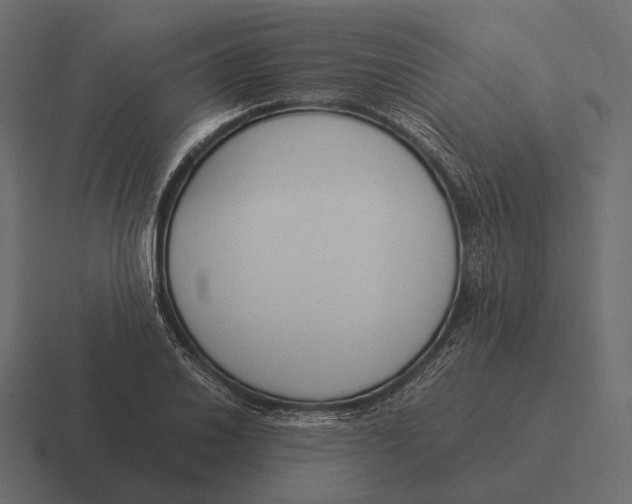 X0000116371030200912291706