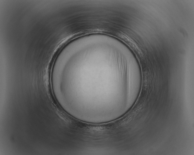 X0000116371031200912291706