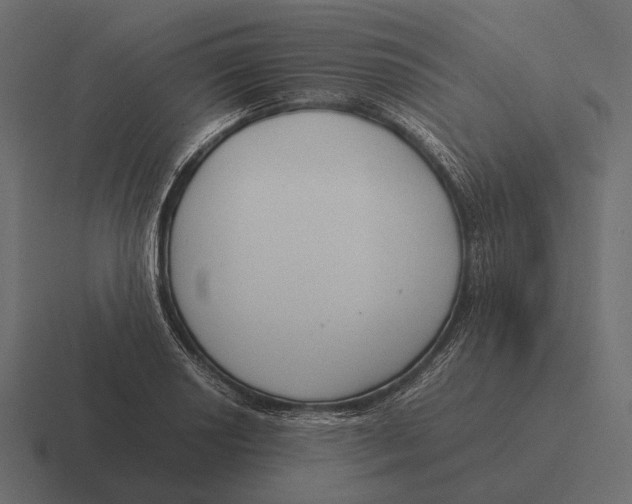 X0000116371034200912291706