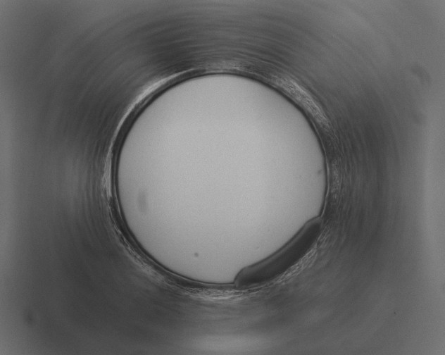 X0000116371036200912291706