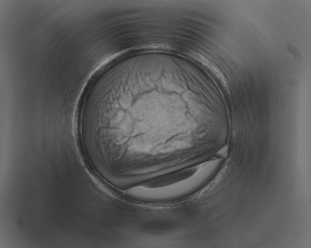 X0000116371037200912291706