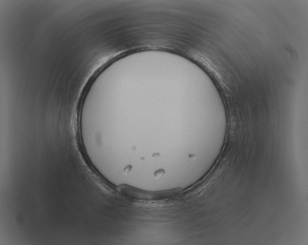 X0000116371040200912291706