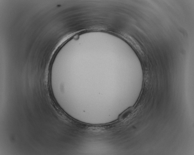 X0000116371044200912291706