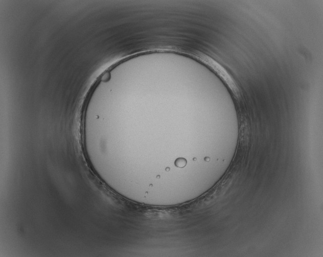 X0000116371051200912291706