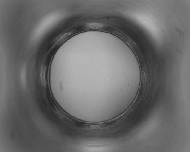 X0000116371054200912291707