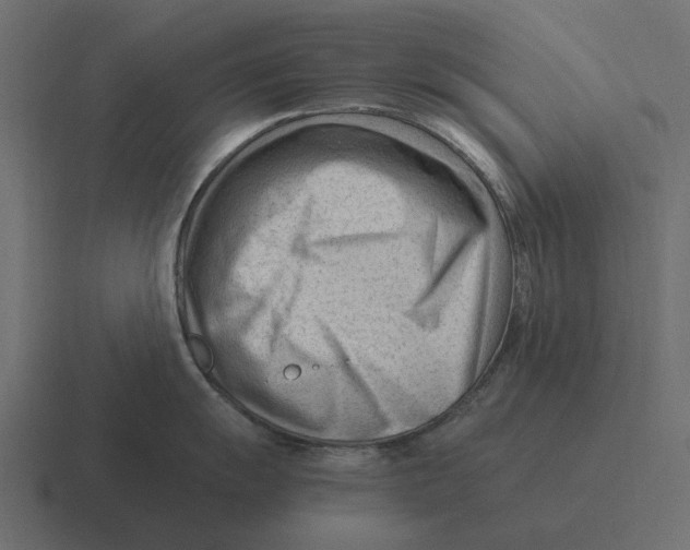 X0000116371055200912291707