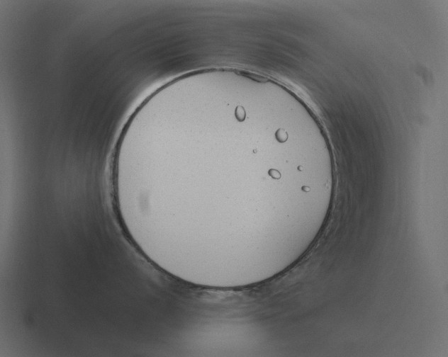 X0000116371056200912291707