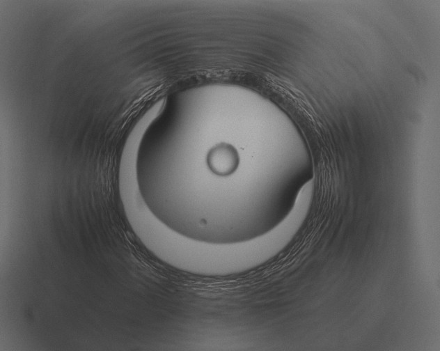 X0000116371060200912291706