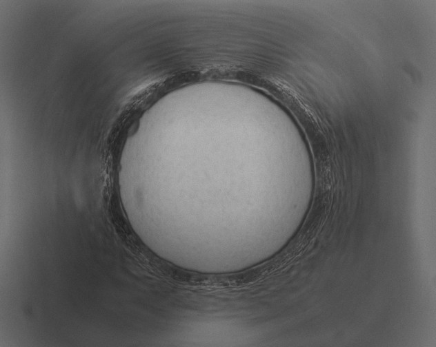 X0000116371063200912291706