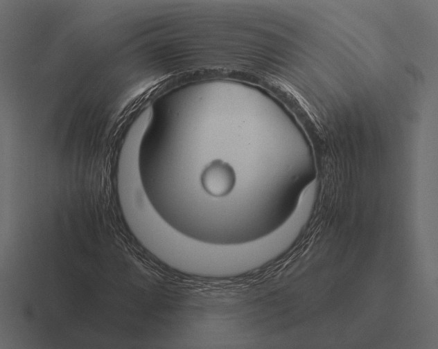 X0000116371064200912291706