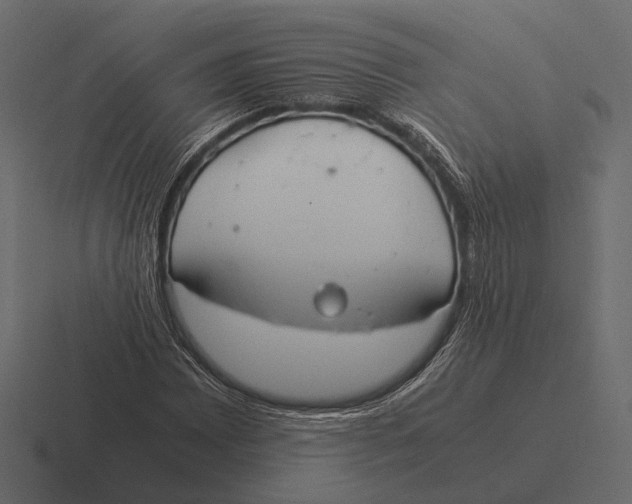 X0000116371065200912291706