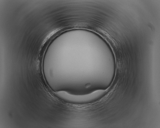 X0000116371066200912291706