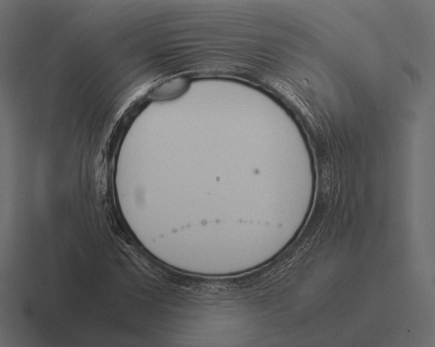 X0000116371067200912291706