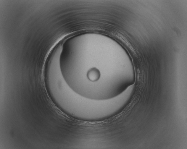 X0000116371068200912291706