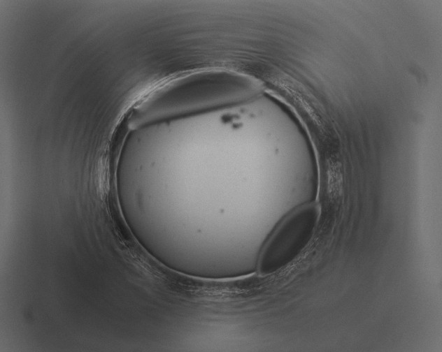 X0000116371069200912291706