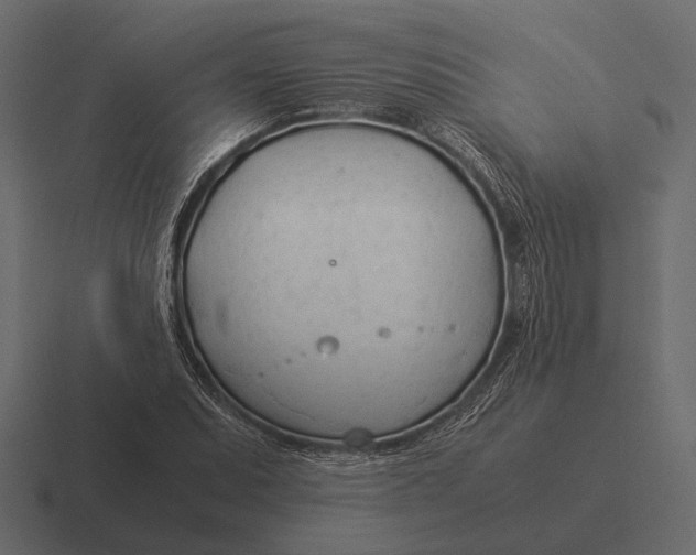 X0000116371071200912291706