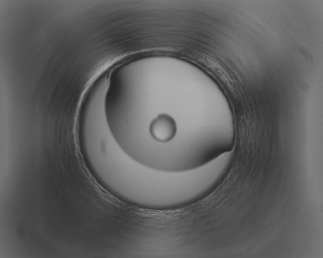 X0000116371072200912291706