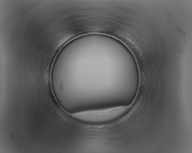 X0000116371073200912291706